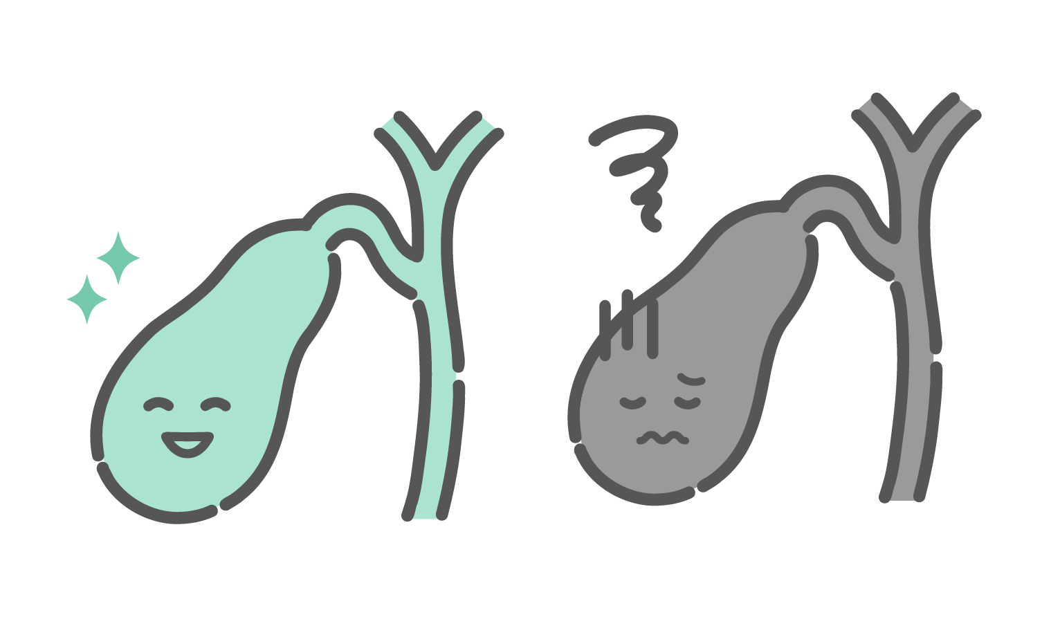 健康な胆嚢と不調な胆嚢の比較イラスト（胆石・胆嚢炎の対比）