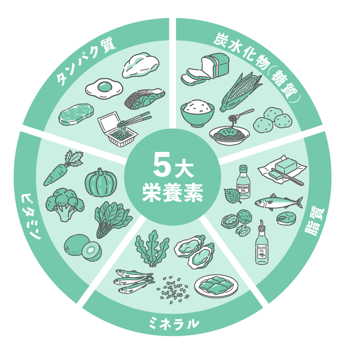 中央に「5大栄養素」と書かれた、緑色を基調とした円グラフ状のイラスト。5つのエリアに分類され、それぞれの栄養素と食材が描かれている。「炭水化物（糖質）」にはご飯、食パン、パスタ、じゃがいも、とうもろこし。「脂質」にはバター、食用油、魚、くるみ。「タンパク質」には肉、魚の切り身、卵、納豆、鶏肉。「ビタミン」には人参、かぼちゃ、ブロッコリー、ほうれん草、キウイ。「ミネラル」には海藻、牡蠣、小魚、ごま。