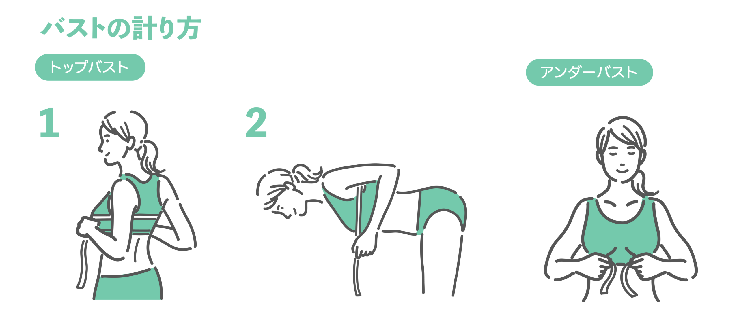 女性がメジャーを使って胸のサイズを測っている3つのイラストセット。1.直立してトップバストを測る、2.前かがみになって背中のお肉を寄せてトップバストを測る、3.アンダーバストを水平に測る様子を描いた図解。