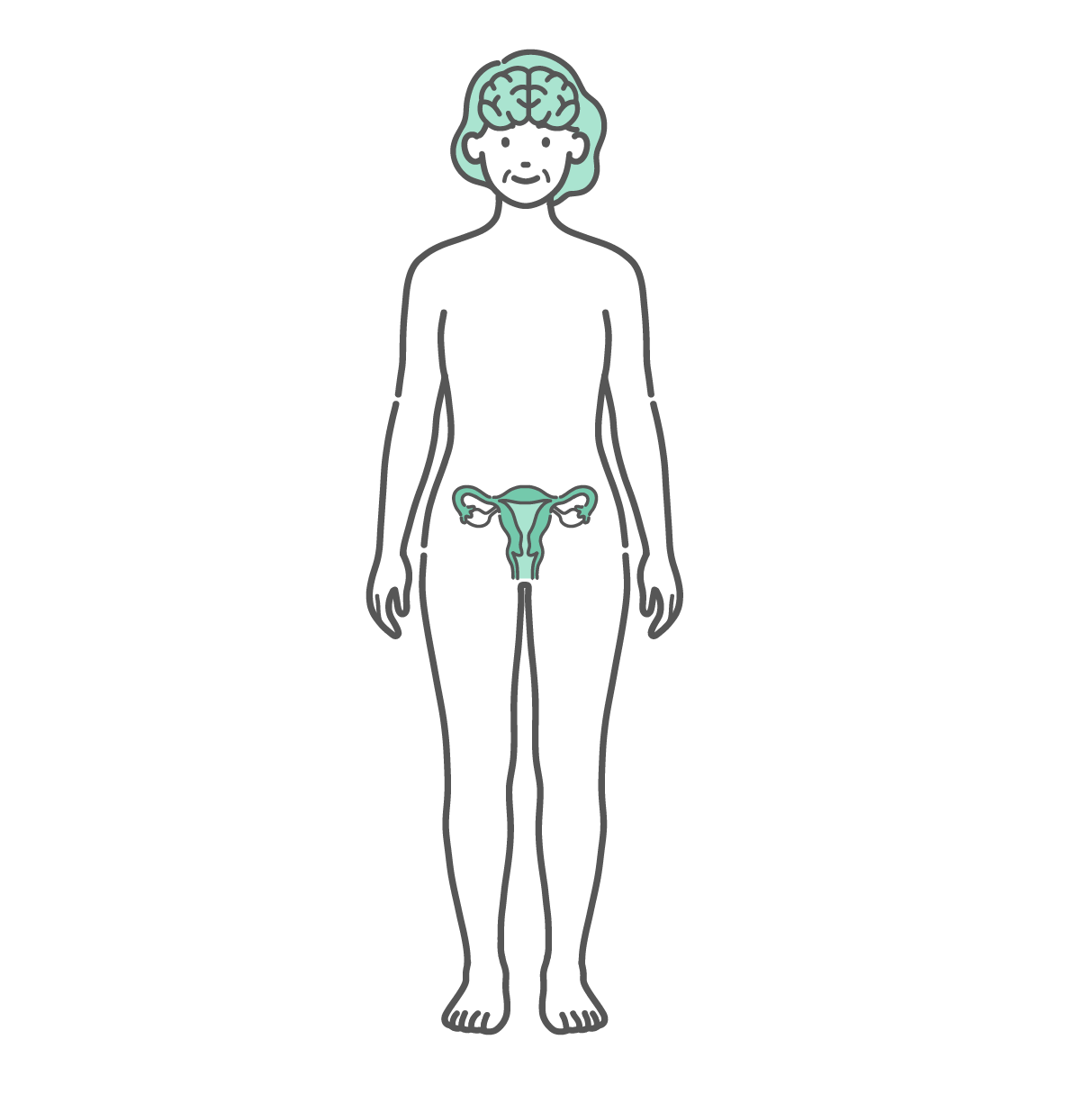 脳と子宮・卵巣が描かれたシニア女性の人体図・全身モデルのイラスト（正面）