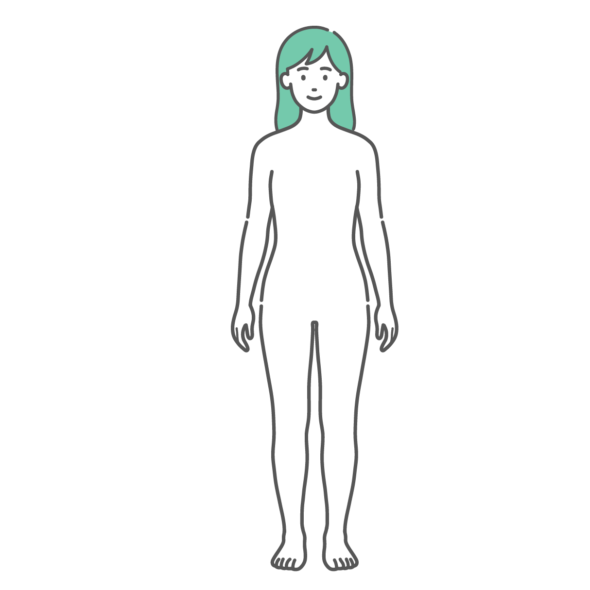 シンプルに描かれた女性の人体図・全身モデルのイラスト（正面）