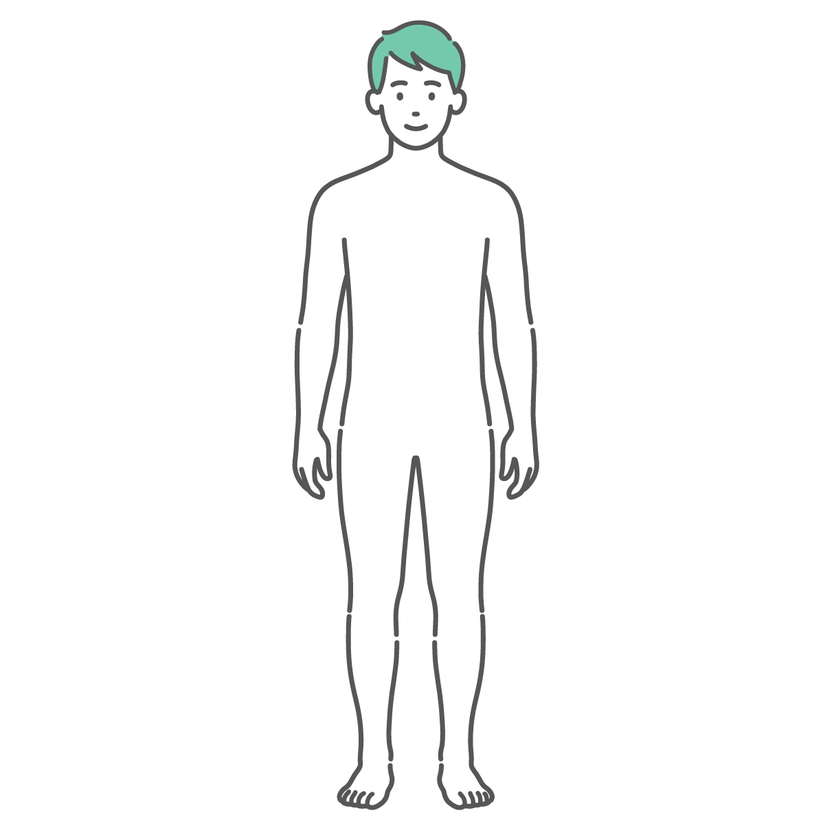 シンプルに描かれた男性の人体図・全身モデルのイラスト（正面）