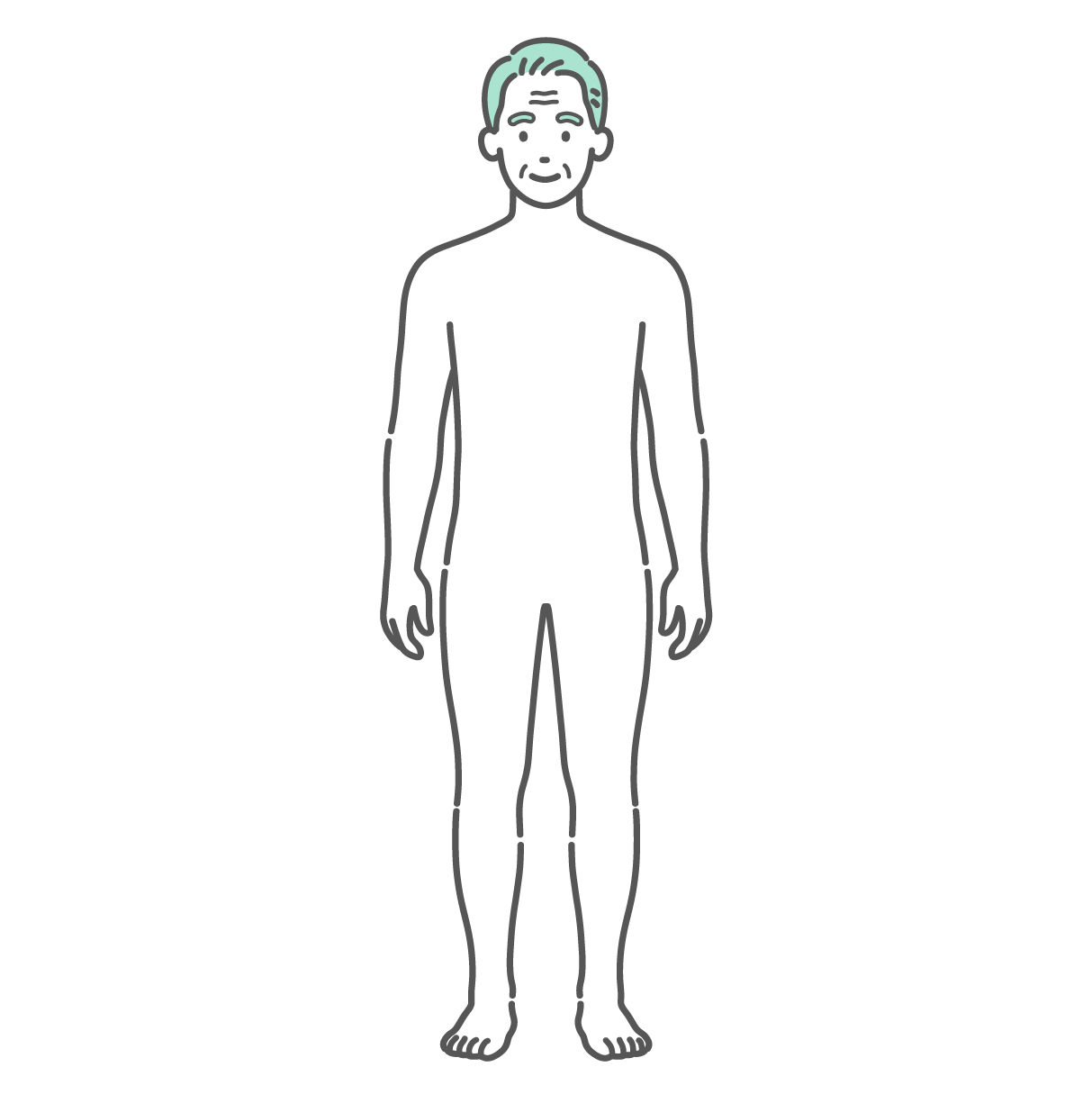 シンプルに描かれたシニア男性の人体図・全身モデルのイラスト（正面）