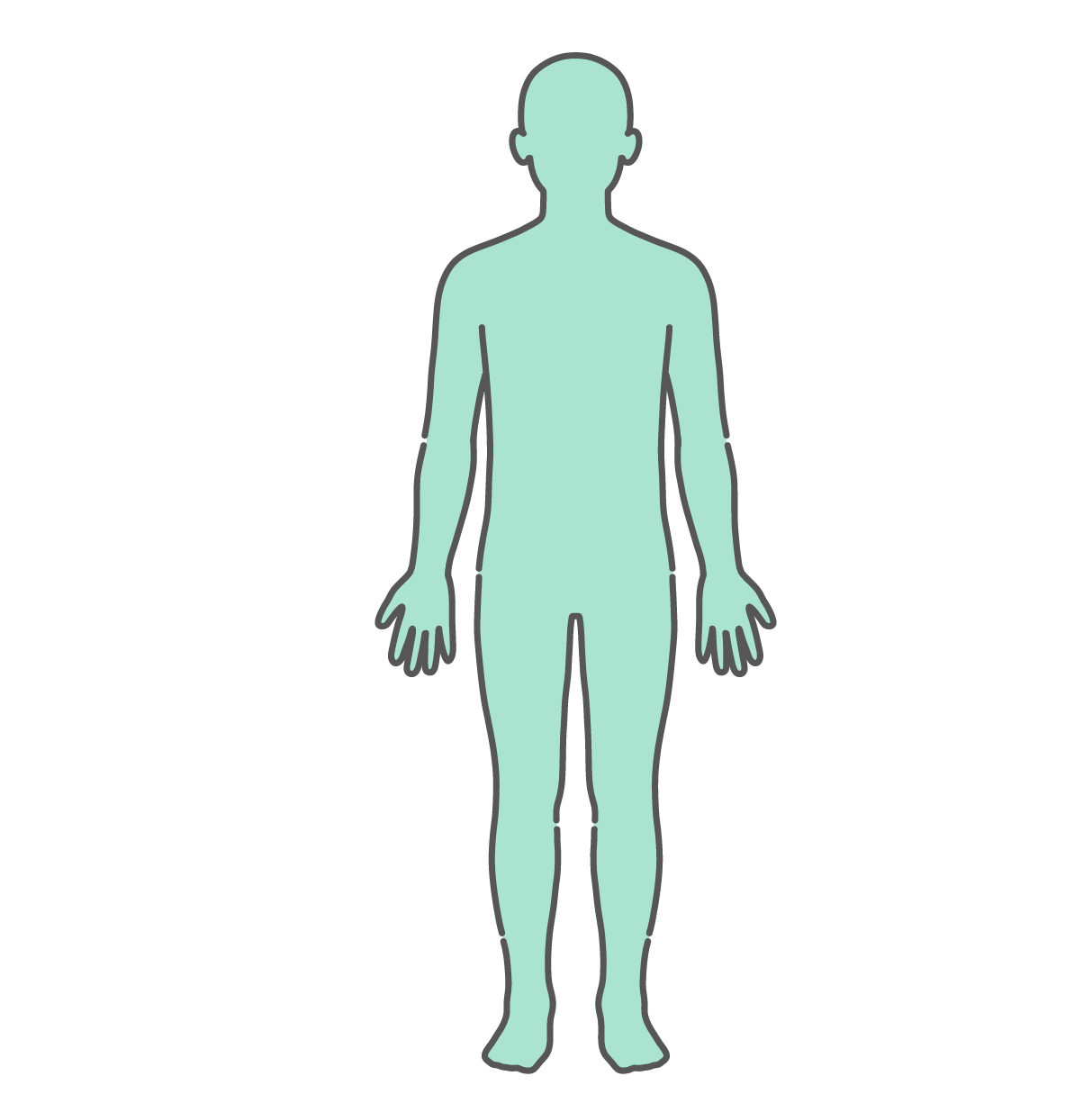 ミントグリーンで塗りつぶされたシンプルな人物の全身シルエット・人体図イラスト（正面）