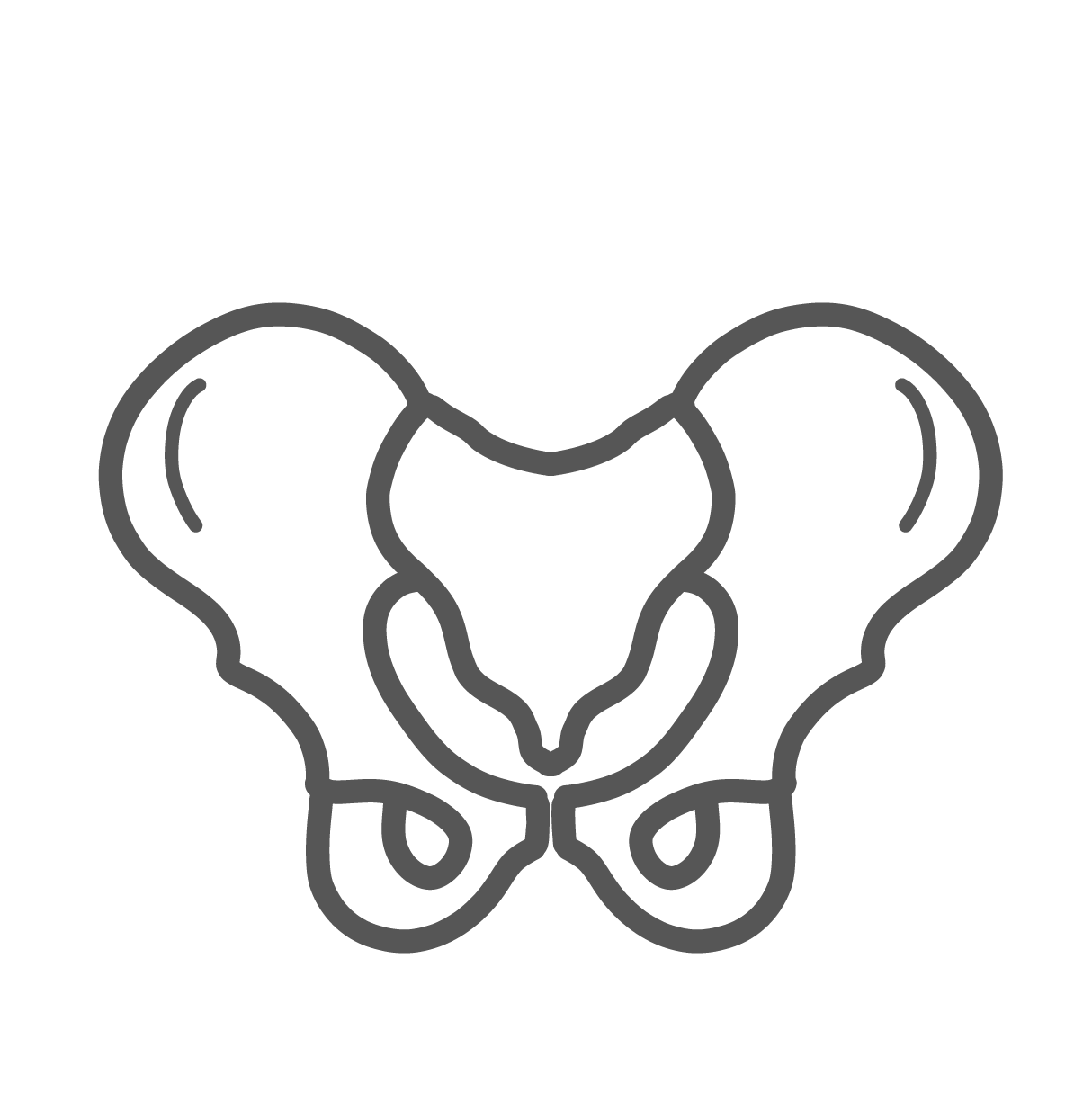 正面から見たシンプルな骨盤の骨格線画イラスト