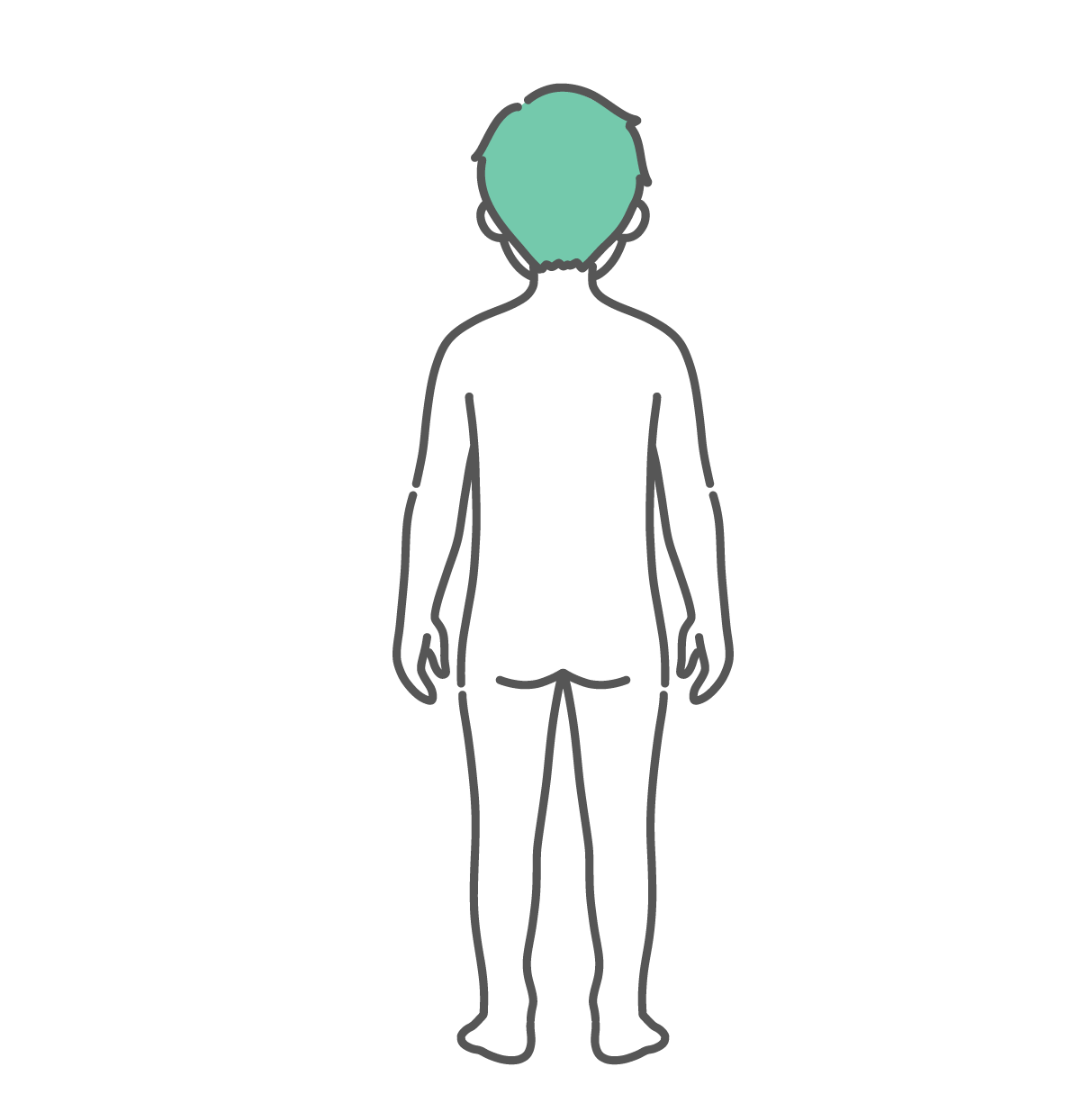 後ろから見た男の子（子供）の人体図・全身モデルのイラスト（背面）