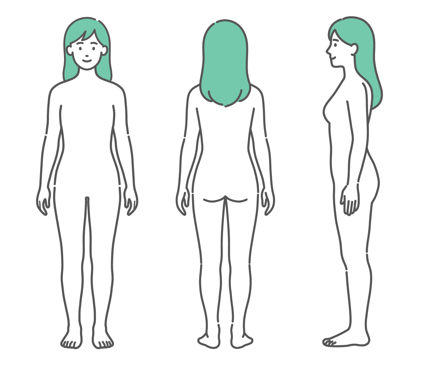 正面、背面、側面の3方向から見た女性の人体図・全身モデルのイラストセット