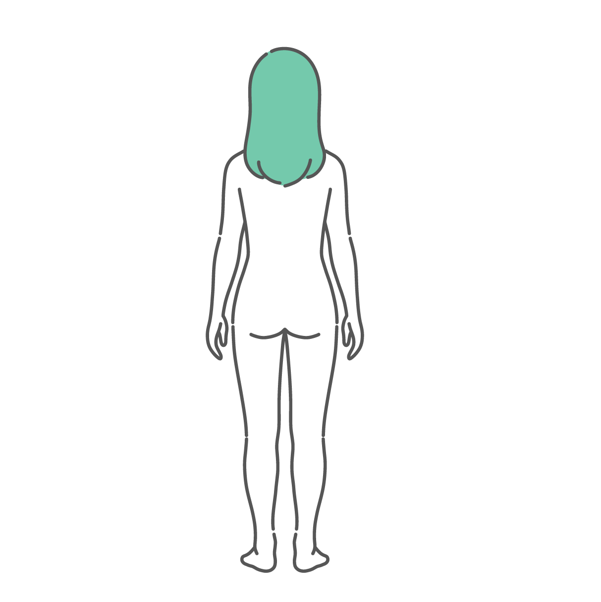 後ろから見た女性の人体図・全身モデルのイラスト（背面）