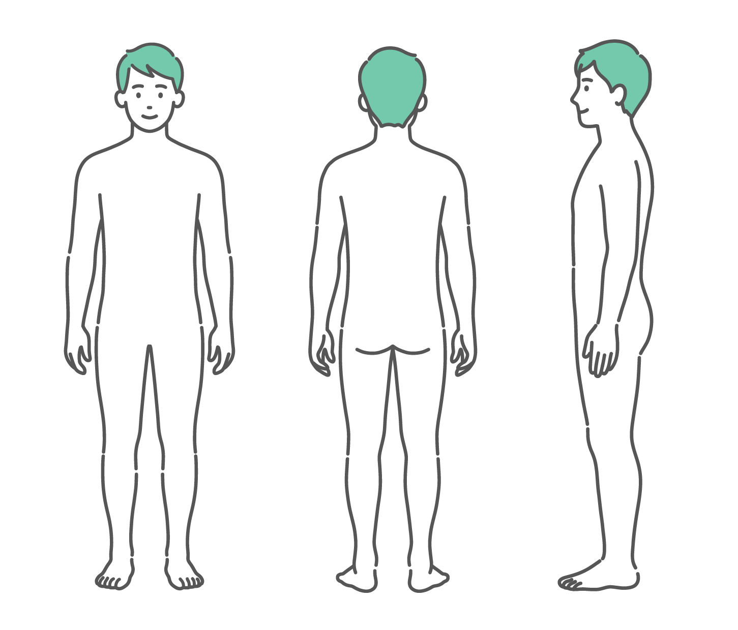 正面、背面、側面の3方向から見た男性の人体図・全身モデルのイラストセット