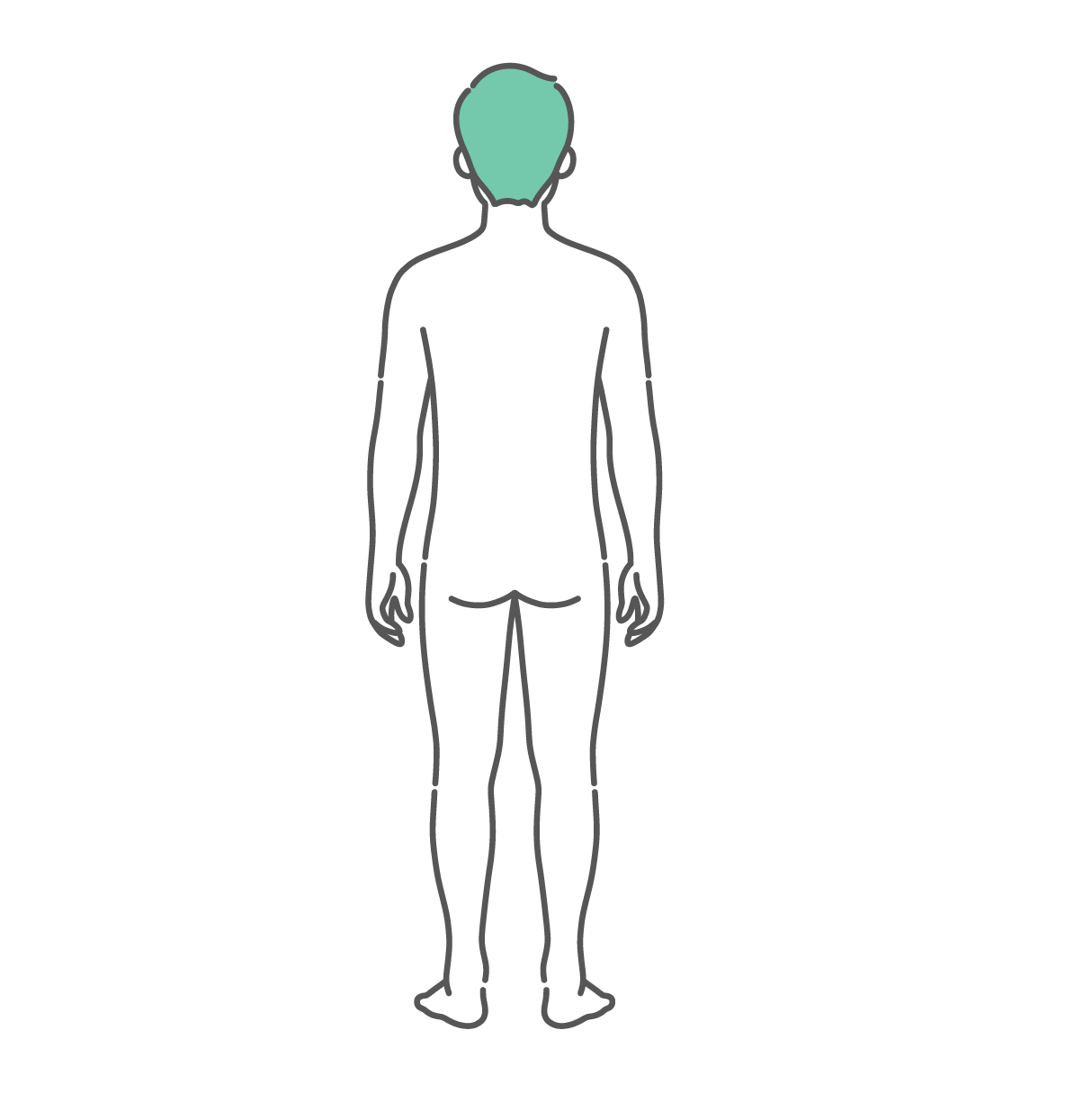 後ろから見た男性の人体図・全身モデルのイラスト（背面）