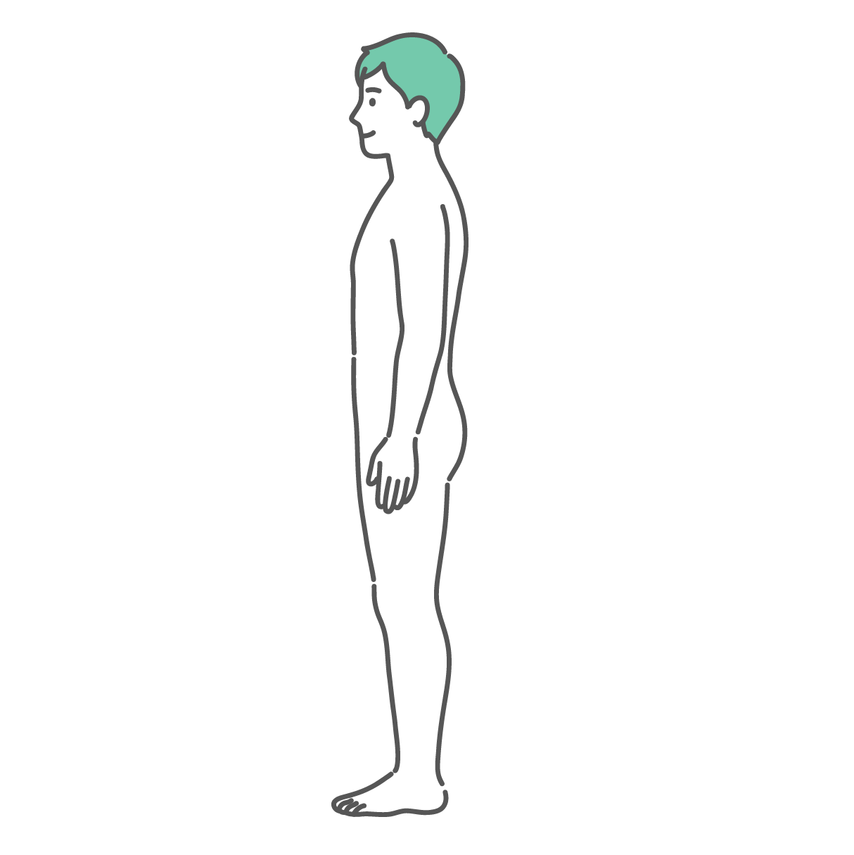 横から見た男性の人体図・全身モデルのイラスト（側面）