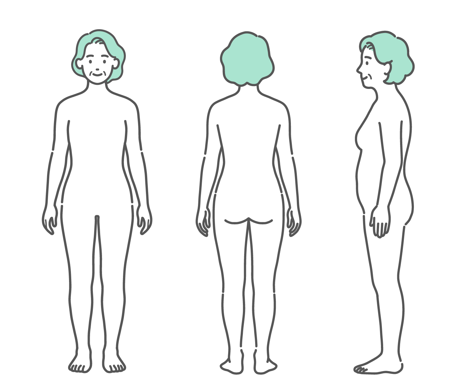 正面、背面、側面の3方向から見たシニア女性（高齢者）の人体図・全身モデルのイラストセット