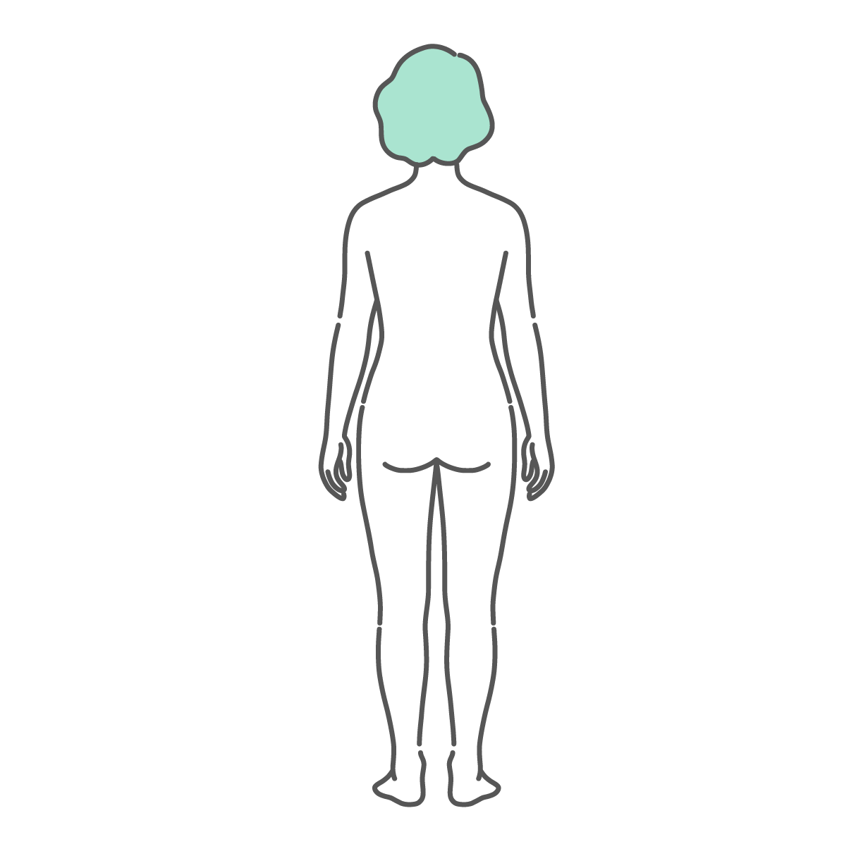 後ろから見たシニア女性（高齢者）の人体図・全身モデルのイラスト（背面）