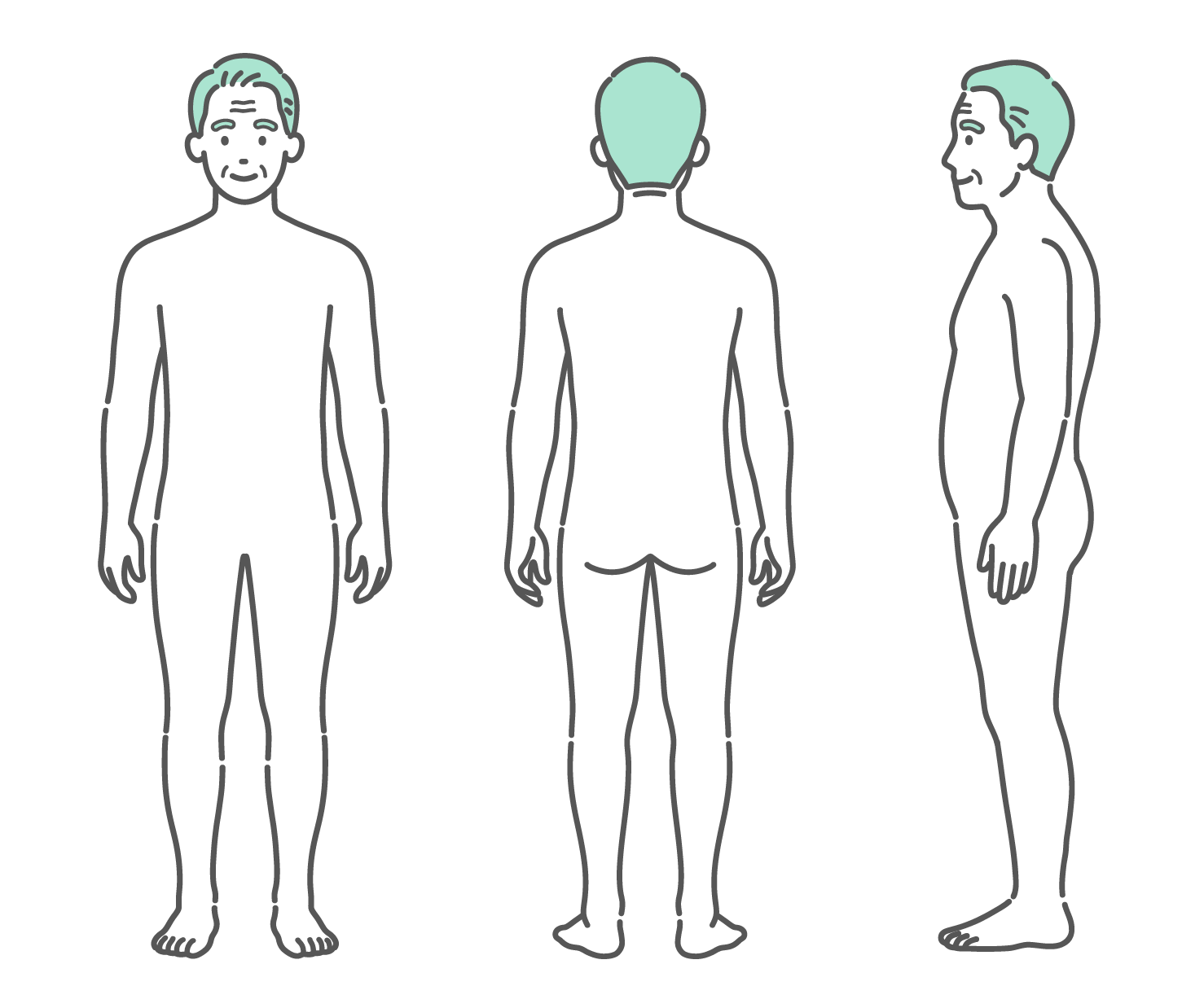 正面、背面、側面の3方向から見たシニア男性（高齢者）の人体図・全身モデルのイラストセット
