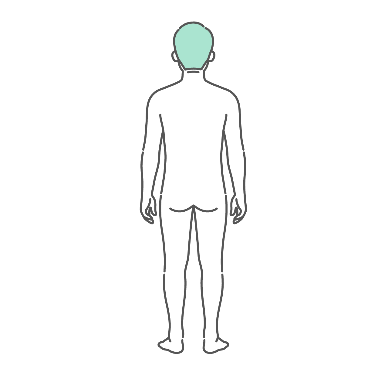 後ろから見たシニア男性（高齢者）の人体図・全身モデルのイラスト（背面）