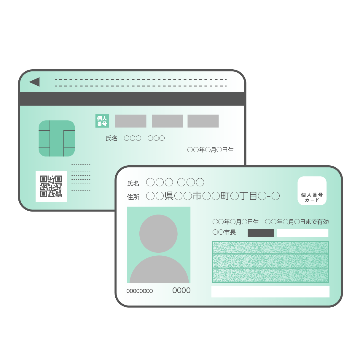 顔写真部分がグレーの人物シルエットになっているマイナンバーカード（個人番号カード）の表面と、ICチップやQRコードが描かれた裏面が重なるように配置されたセットイラスト。カードはミントグリーンとグレーのデザインで、個人情報部分はダミーテキストになっている。背景は透過。