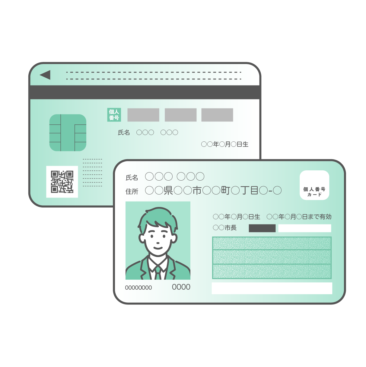 制服を着た男子学生の顔写真が入ったマイナンバーカード（個人番号カード）の表面と、ICチップやQRコードが描かれた裏面が重なるように配置されたセットイラスト。カードはミントグリーンとグレーのデザインで、個人情報部分はダミーテキストになっている。背景は透過。