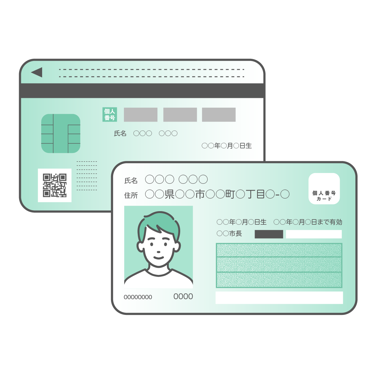 若い成人男性の顔写真が入ったマイナンバーカード（個人番号カード）の表面と、ICチップやQRコードが描かれた裏面が重なるように配置されたセットイラスト。個人情報部分はダミーテキストになっている。