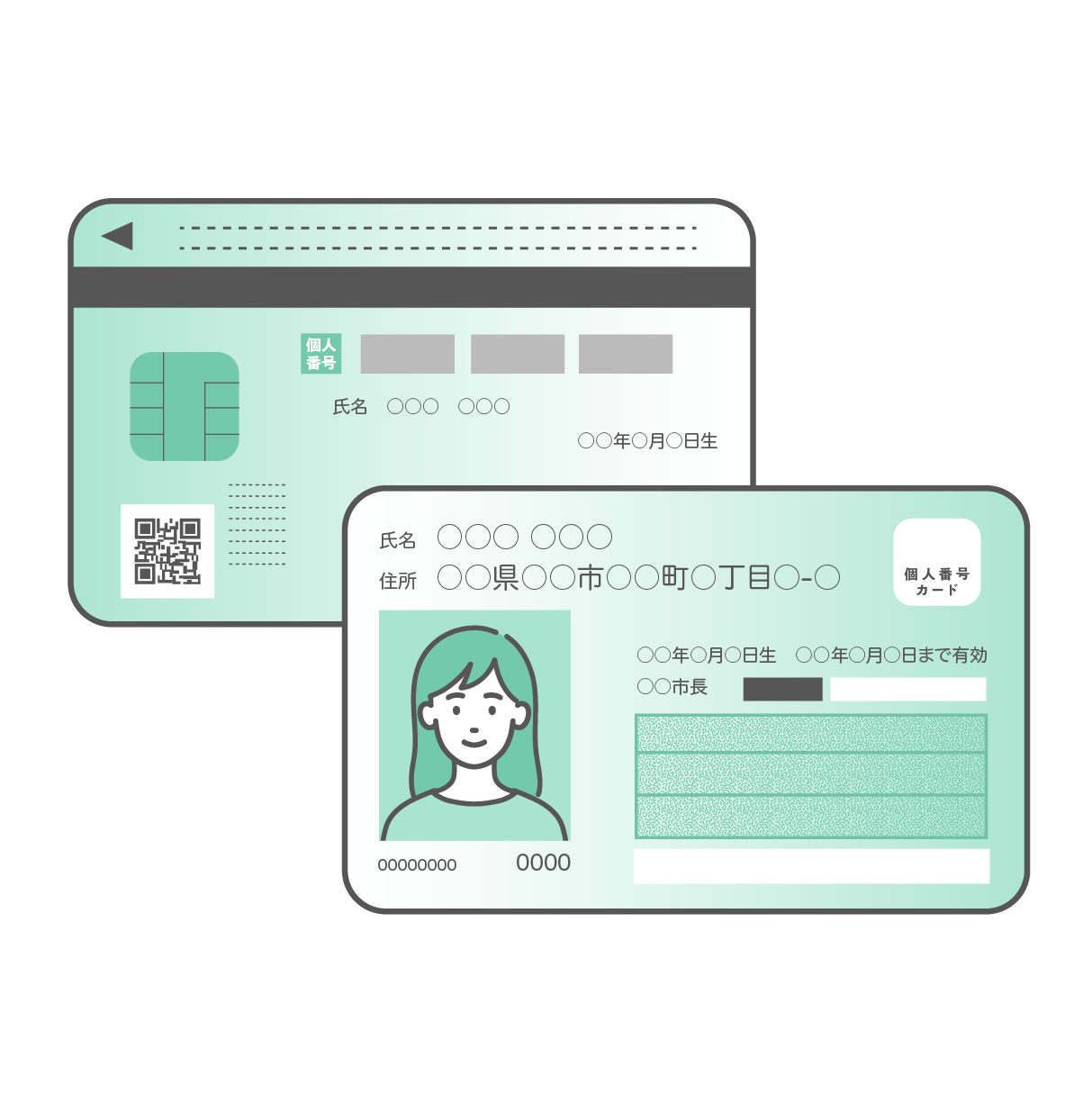 若い成人女性の顔写真が入ったマイナンバーカード（個人番号カード）の表面と、ICチップやQRコードが描かれた裏面が重なるように配置されたセットイラスト。個人情報部分はダミーテキストになっている。