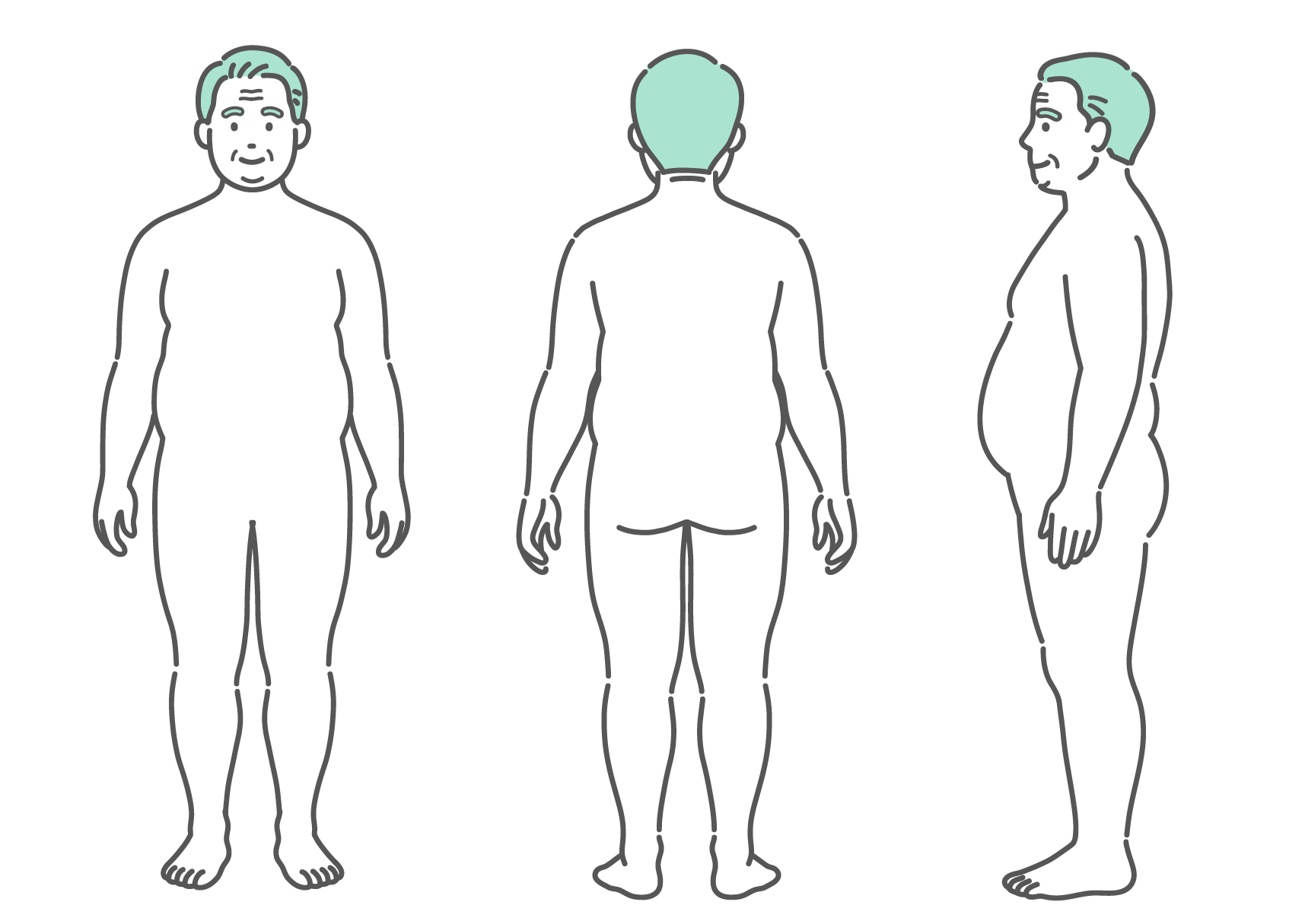 正面、背面、側面の3方向から見た肥満体型のシニア男性の全身イラストセット